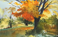 Autumn Light by Nelson Ziegler